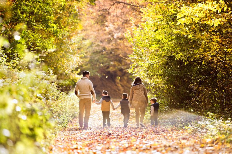 Pisamonas Programmes Automne Hiver Pisamonas Automne-Hiver